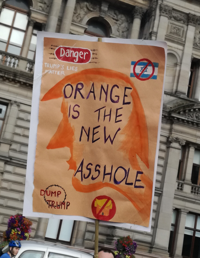 Illustration for article titled Scottish anti-Trump photo dump (long and comprehensive!)